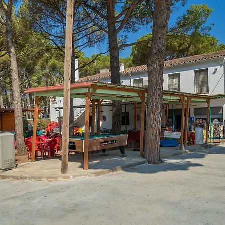 Alannia Neptuno Пальс