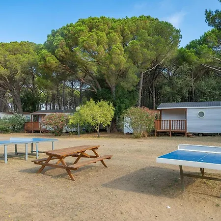 Kamp alanı Alannia Neptuno *