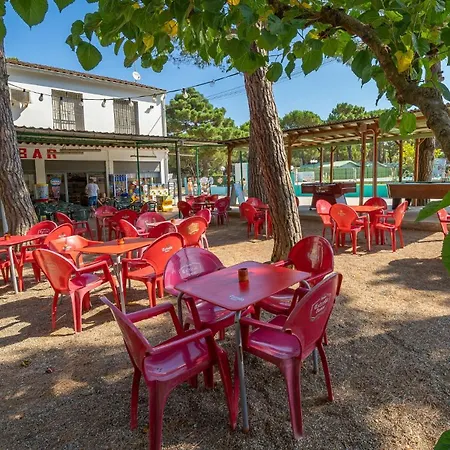 Alannia Neptuno Kamp alanı